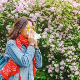 Stylish woman with allergies blowing her nose outside, in front of a bush with beautiful pink flowers.