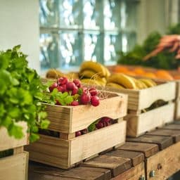 Produce lined up in a rown, radishes, squash, carrots, in boxes at a farmer market